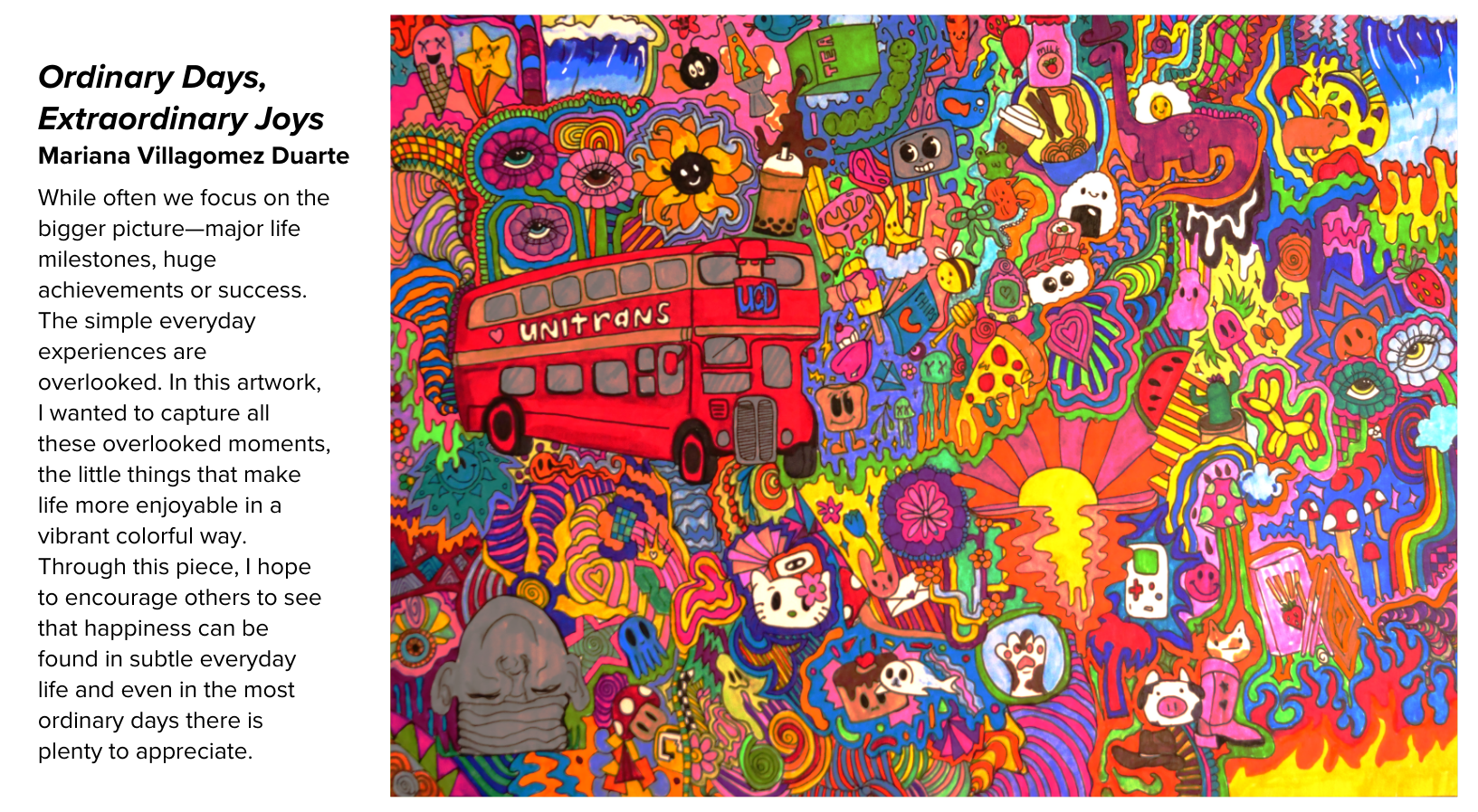 Ordinary Days, Extraordinary Joys by Mariana Villagomez Duarte