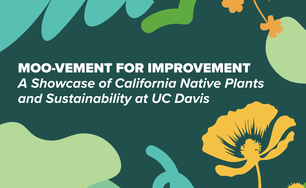 Graphic poster with yellow California poppy and teal shapes on dark green background