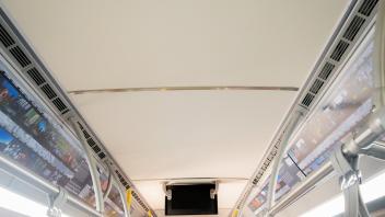 Memories of Davis Installation 