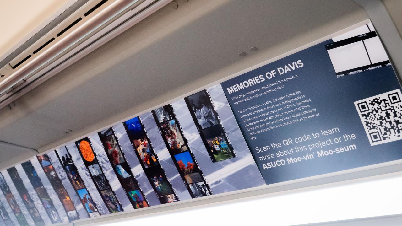 Memories of Davis Installation